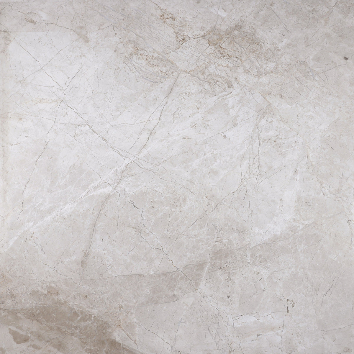 Cream Misto Honed 60 x 60 x 1.5 cm Field Tile 
