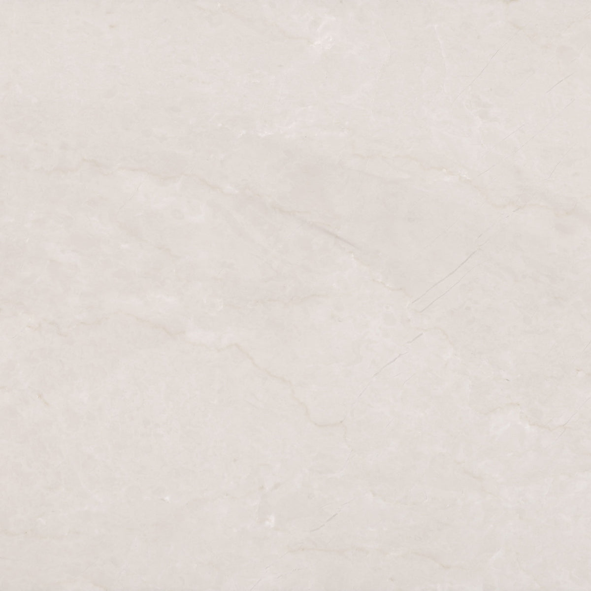 Crema Ella Polished 30 x 30 x 1 cm Field Tile 