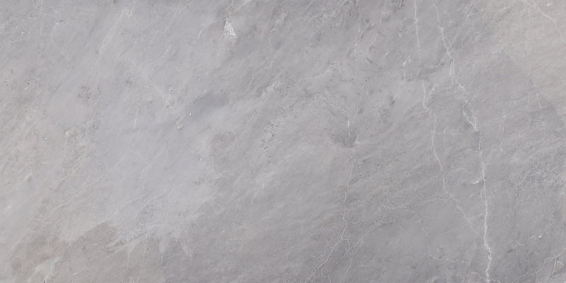 Earth Grey Polished 30 x 60 x 1.25 cm Field Tile