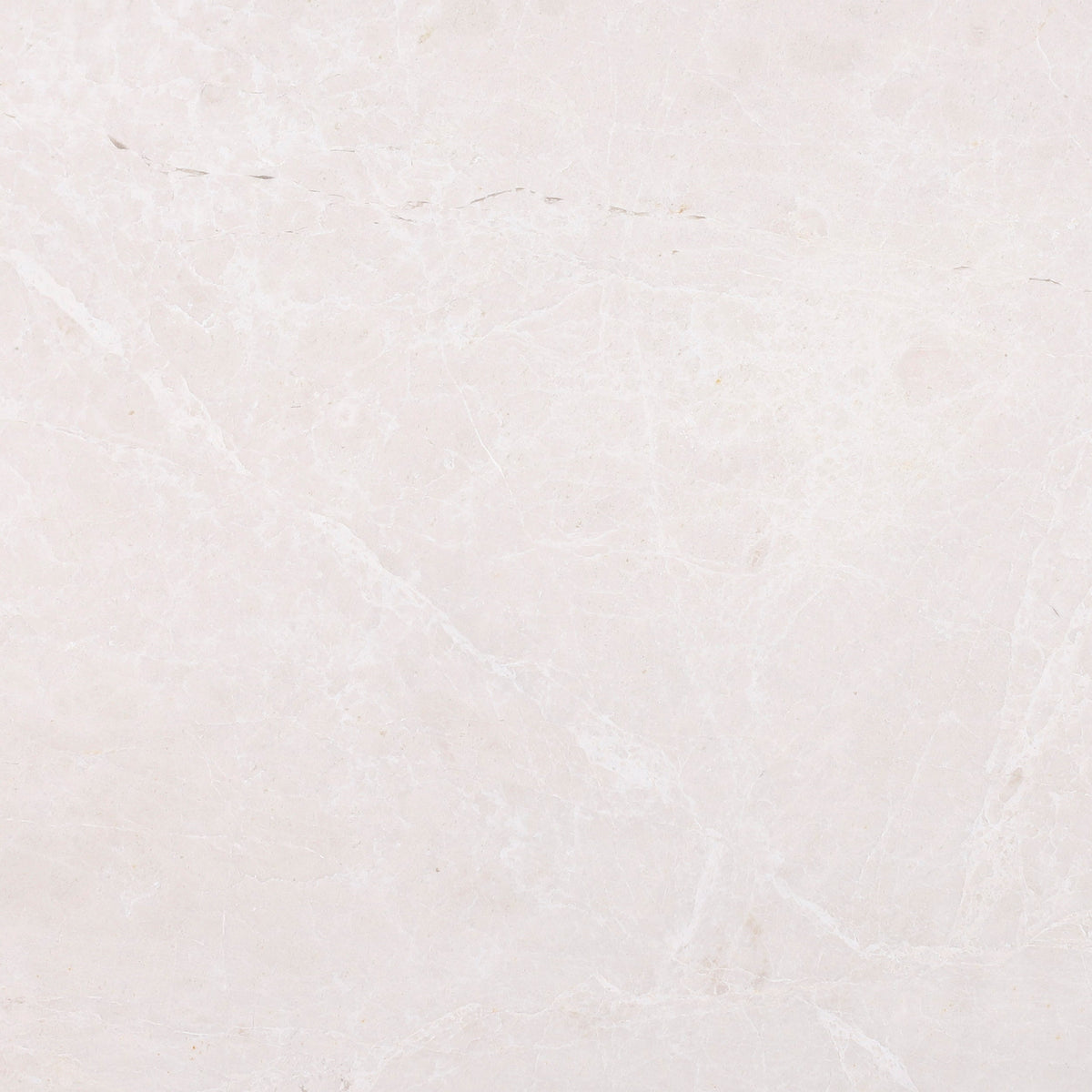 Moon Cream Honed 30 x 30 x 1 cm Field Tile 