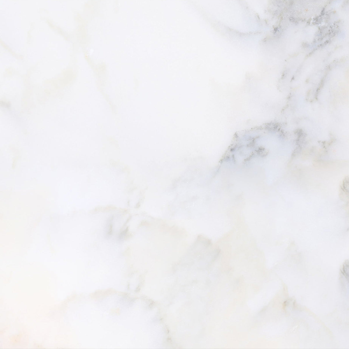 Calacatta Vida Honed 45 x 45 x 1.25 cm Field Tile 