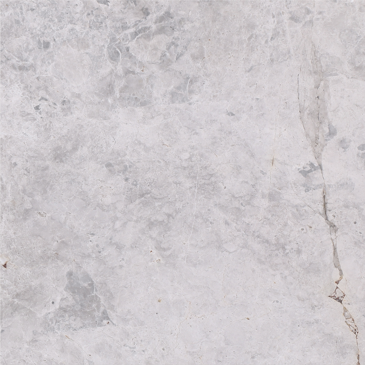 Tundra Grey Honed 40 x 40 x 1.5 cm Field Tile 