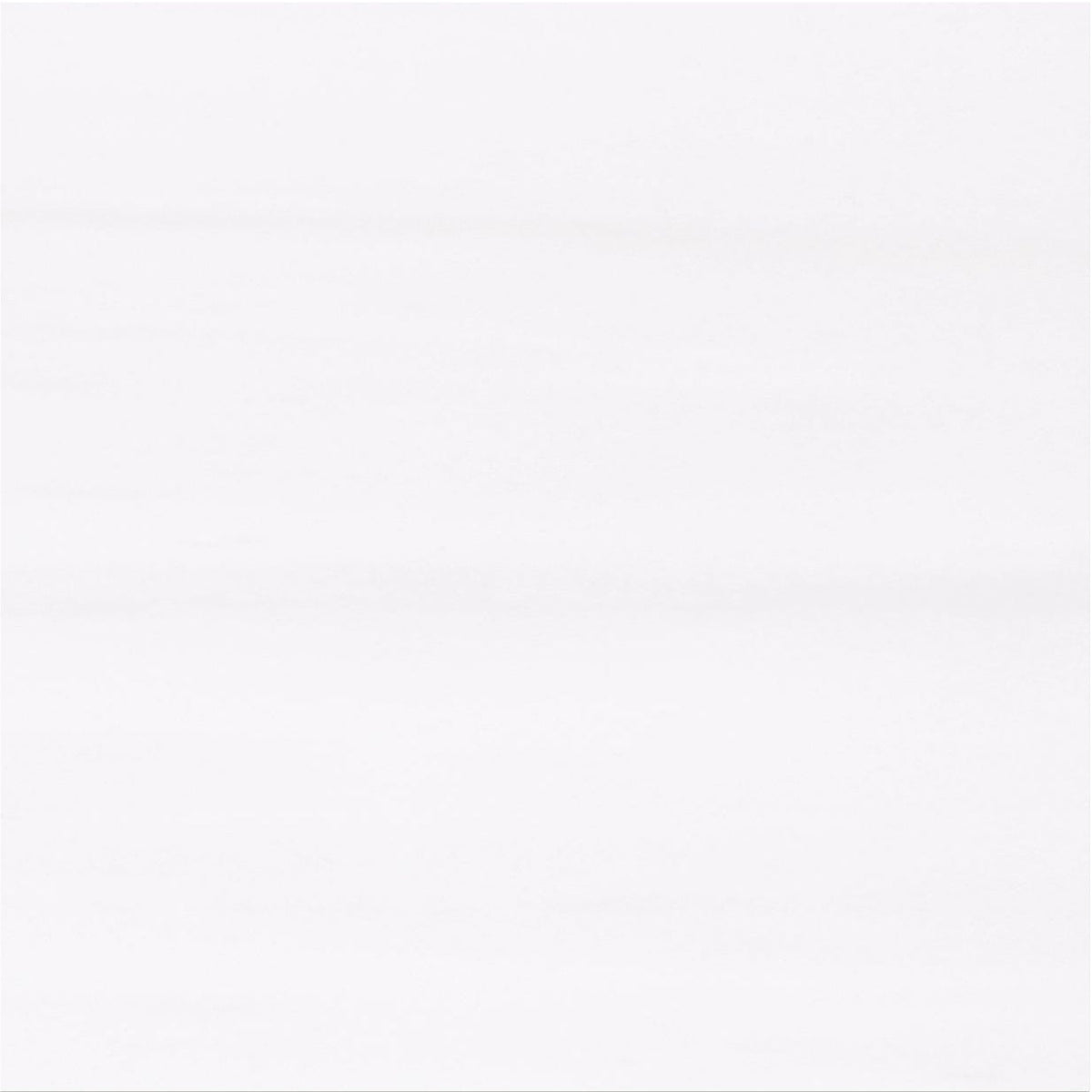 Glacier White Select Polished 30 x 30 x 1 cm Field Tile 