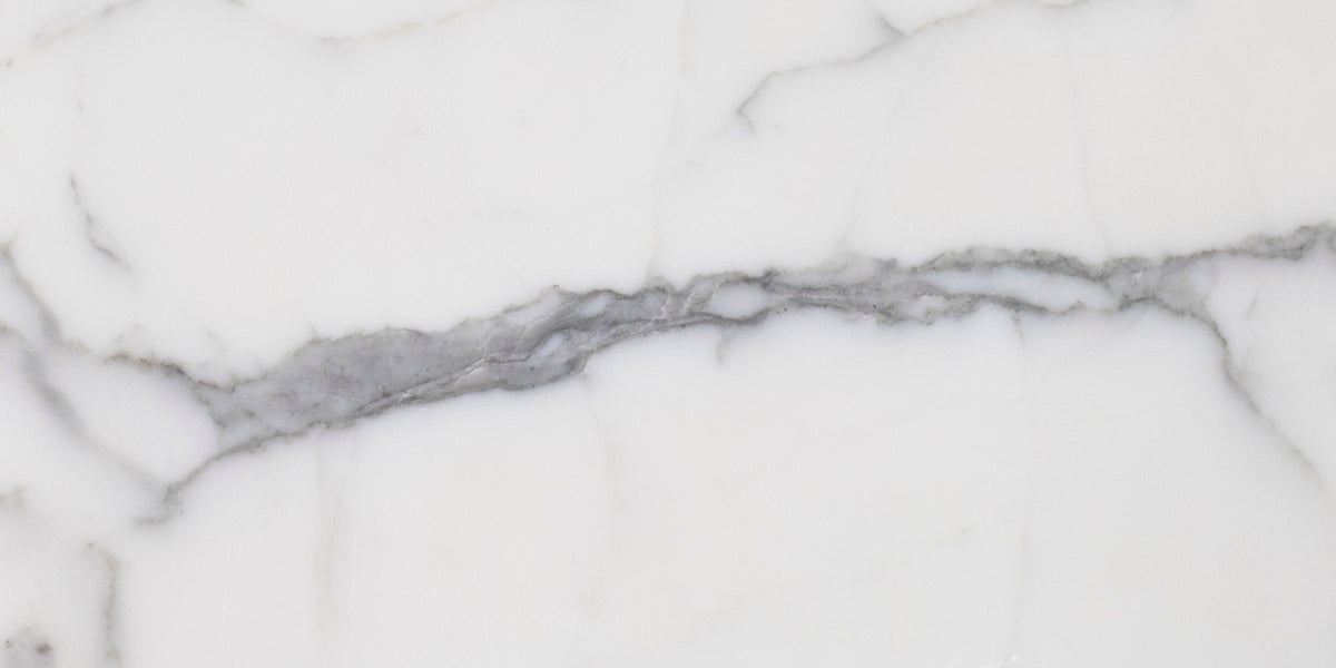 Statuario Extra Honed 15 x 30 x 1 cm Field Tile 