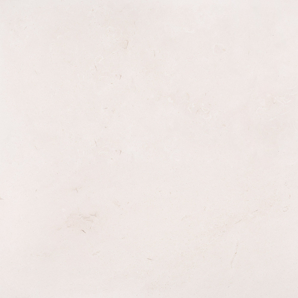 Simena Honed 60 x 60 x 1.25 cm Field Tile 