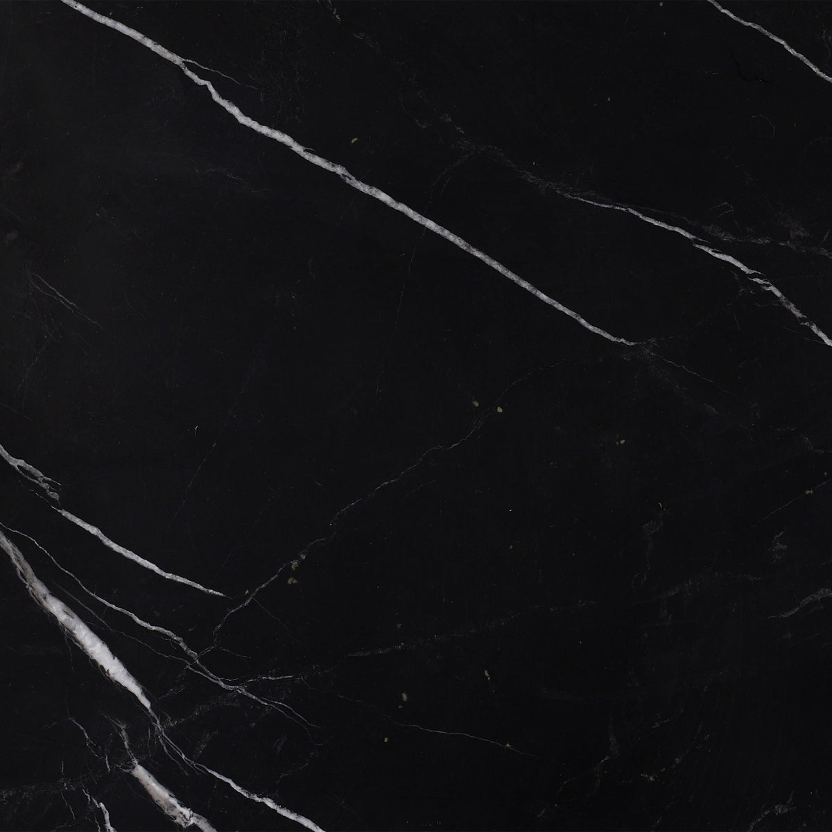 Black Silk Polished 30 x 30 x 1 cm Field Tile 