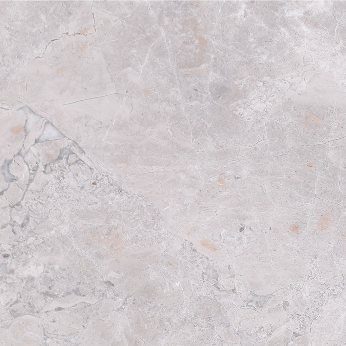 Tundra Grey Honed 15 x 15 x 1 cm Field Tile 