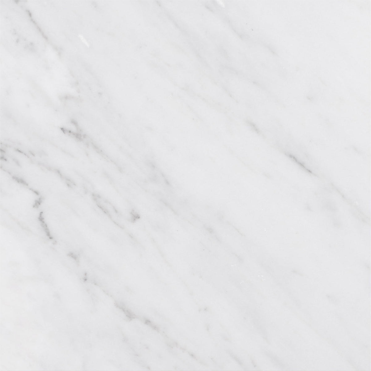 Alba Vera Honed 45 x 45 x 1.25 cm Field Tile 
